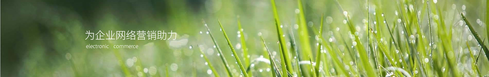 ݸﻯѧ޹˾